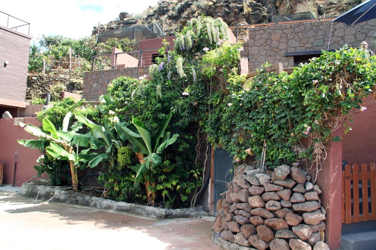 Tonono'S Village Santa Maria de Guia de Gran Canaria Экстерьер фото